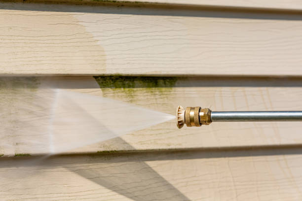 Best Roof Power Washing Services  in Friendly, MD