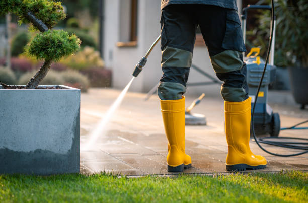 Best Power Washing Near Me  in Friendly, MD